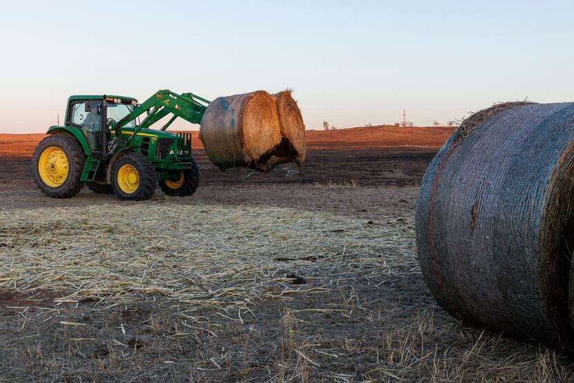 How Texas ranchers are recovering after Texas wildfires