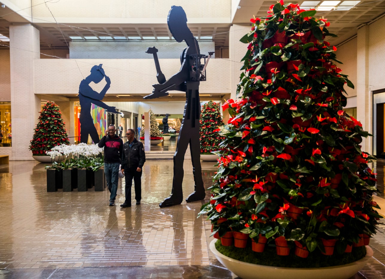 Trees made of red blooming Anthurium plants are a new Christmas decoration this year at...