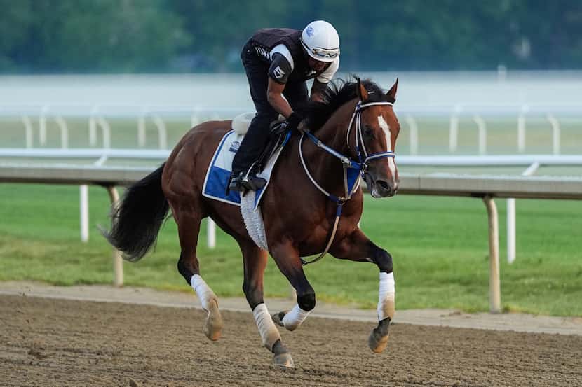 Kentucky Derby winner and Belmont Stakes entrant Mystik Dan works out ahead of the 156th...