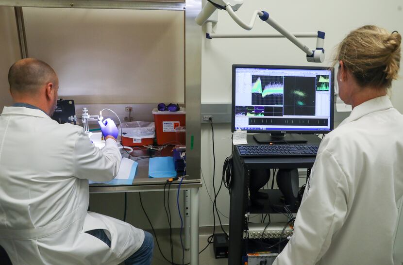 Principle investigator Christa McIntyre (right) looks at a monitoring screen for live vagus...