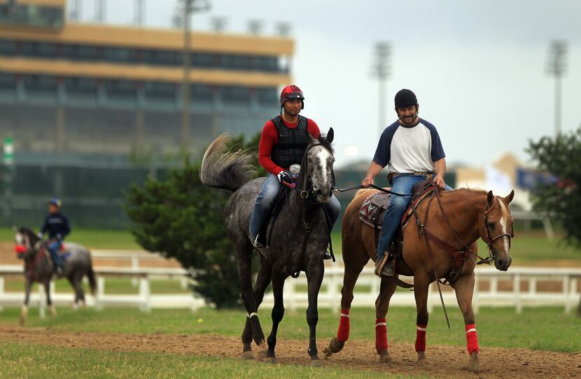 Exercise rider Diego Cervantes heads back to the barn with Carlos Alvidrez at Lone Star Park...