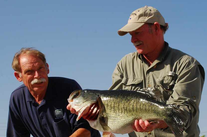 David Campbell handled more than 500 heavyweight Texas bass during 26 years as the point man...