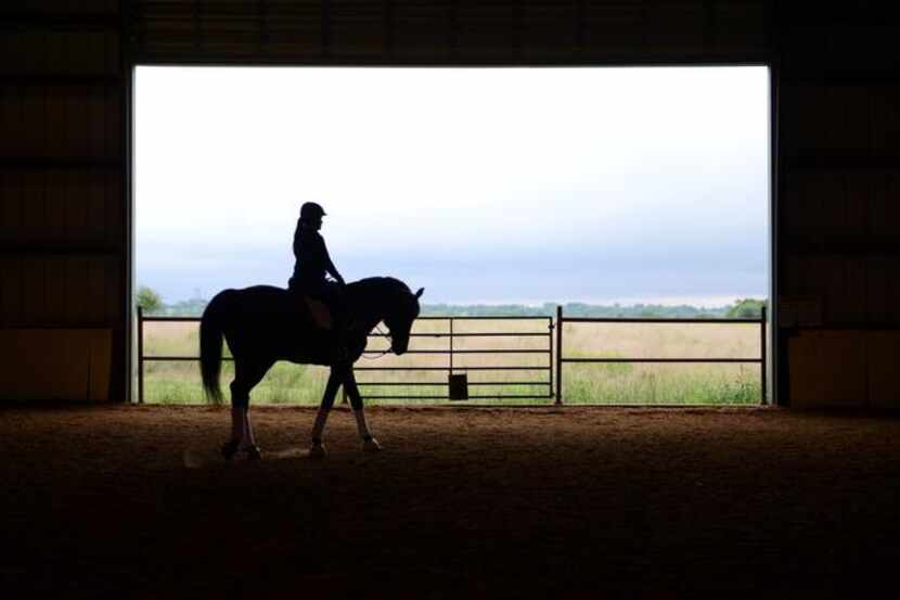 
Assistant trainer Sara Sasso rides American Xpress at Black Star Sport Horses in Rockwall....