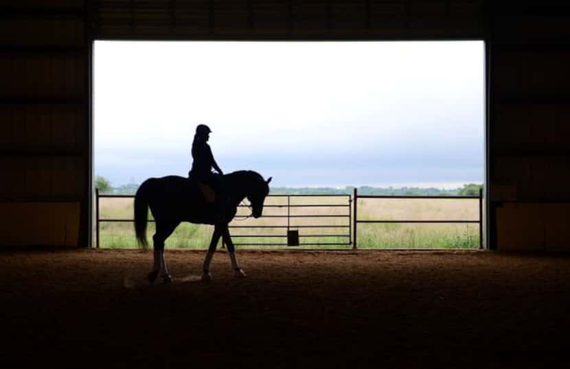 
Assistant trainer Sara Sasso rides American Xpress at Black Star Sport Horses in Rockwall....