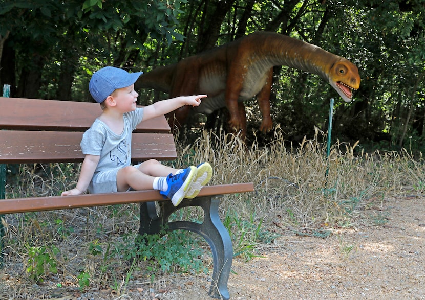 Graham Sutherland, 2, of Ft. Worth, rests on a bench as the Heard Natural Science Museum and...