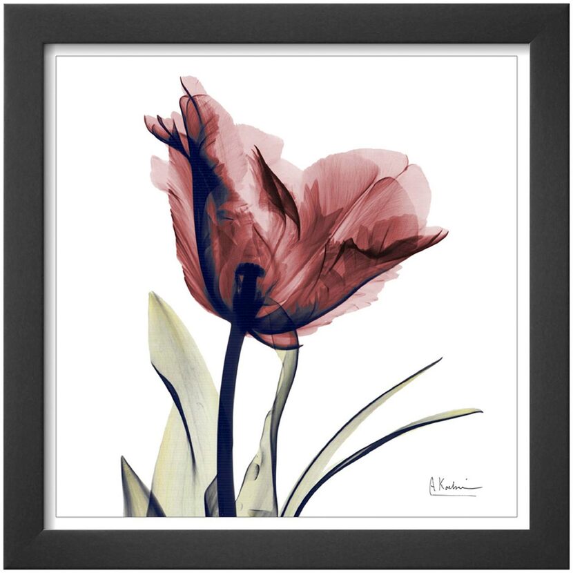 
Spring blooms: A contemporary print of a single tulip, produced through a combination of...