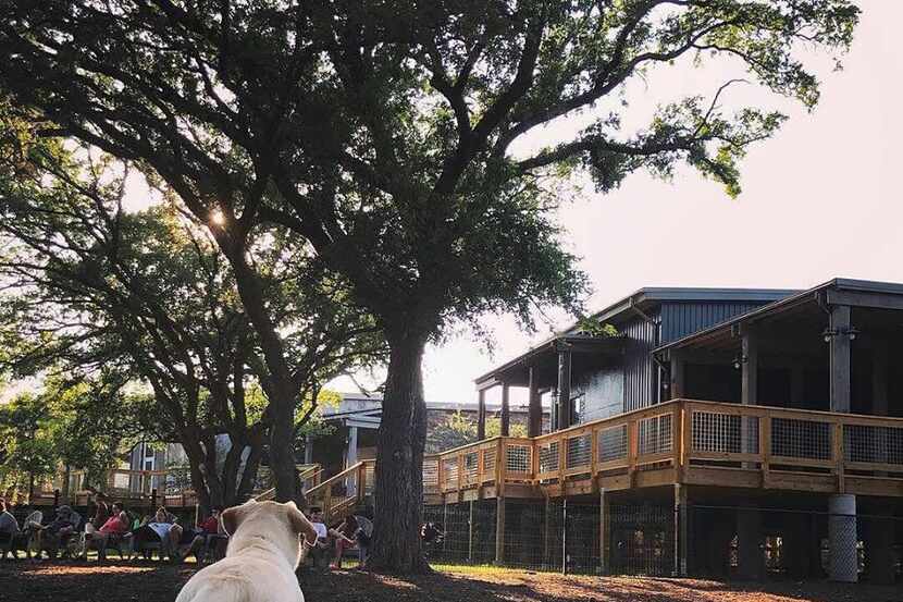 BRUNCH, DRINK, Dog ... Repeat, from 11 a.m. to 2 p.m. Saturday at the Shacks at Austin Ranch...