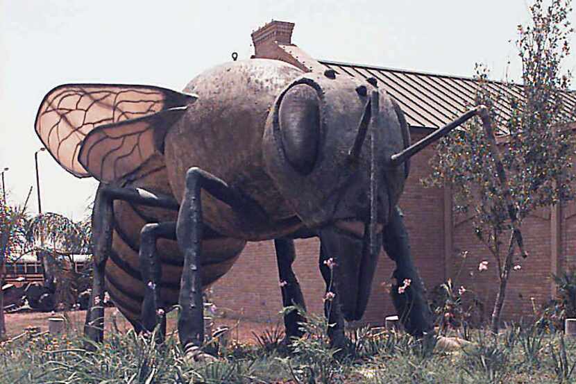 Hidalgo, Texas' killer bee statue is huge, but Africanized honeybees haven't been as big a...