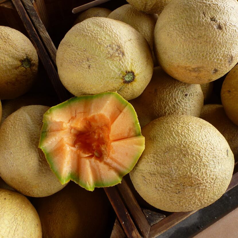 Heirloom cantaloupe is one of dozens of items you can sample before you buy at the Grapevine...