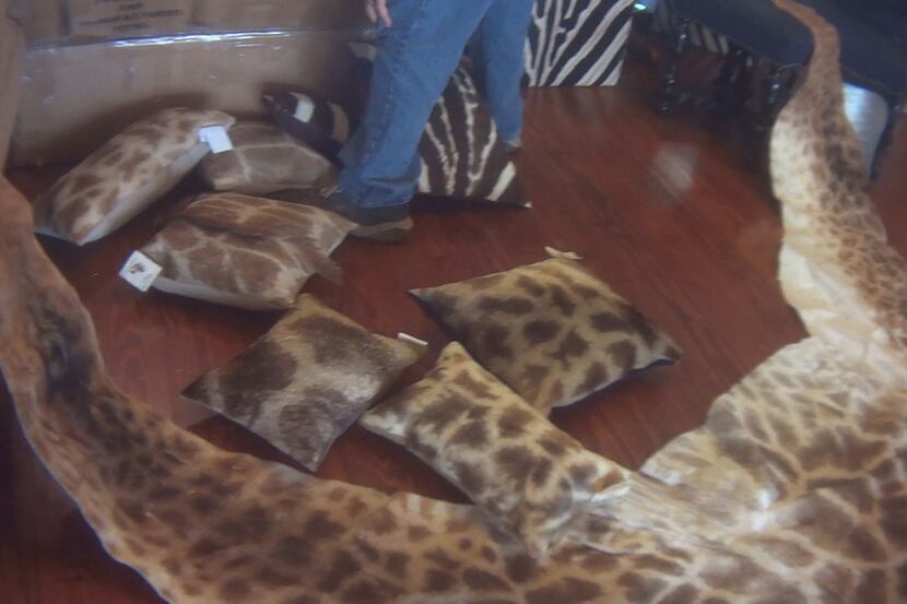 Giraffe hide pillows were seen for sale at The African Market's Trophy Room Collection in...