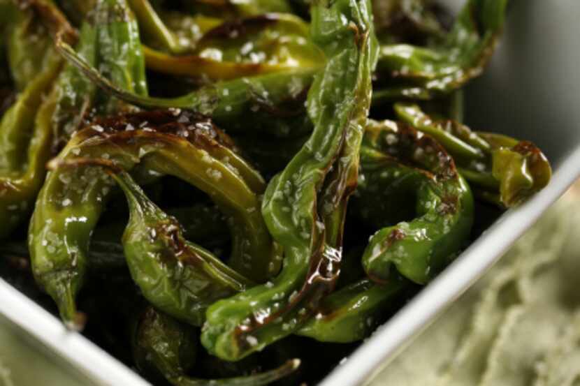 Shishito peppers can be roasted in a pan, in the oven or on the grill.