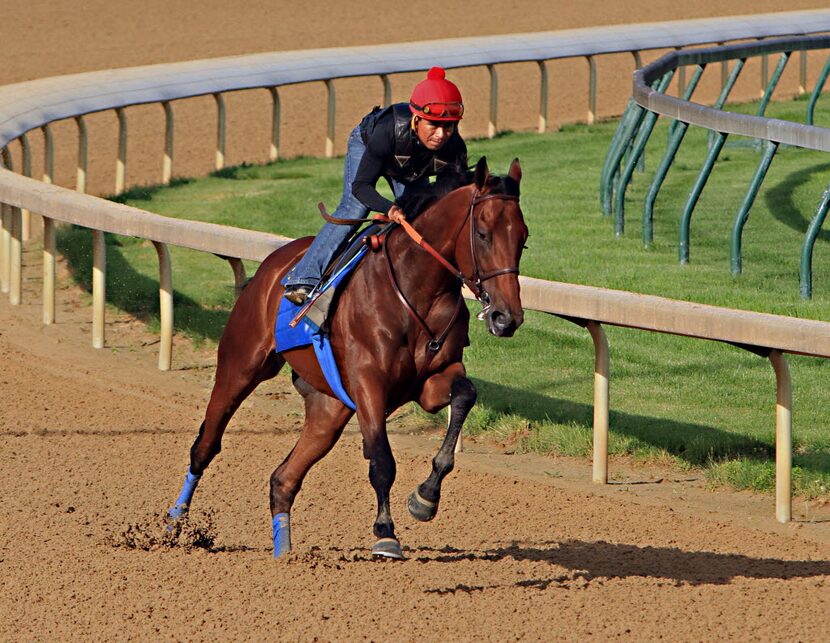 Ridden by jockey Martin Garcia, Kentucky Derby and Preakness Stakes winner American Pharoah...