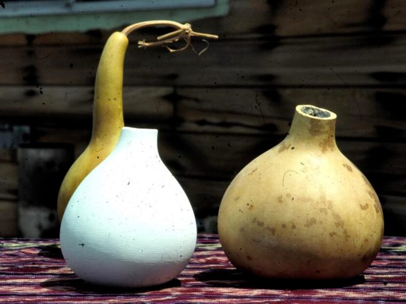 
Dried hard-shell gourds can be painted autumn colors, waxed for a primitive look or crafted...