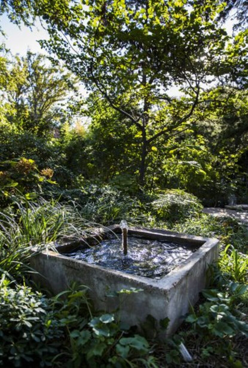 
A fountain in the front garden
