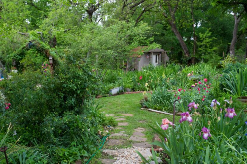 The garden of Bobbie Mason in Red Oak on Thursday, April 18, 2013. Mason's garden is one of...