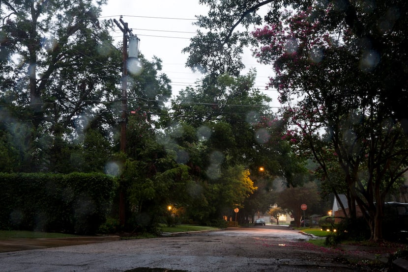 Delmar Avenue, in an area of East Dallas where a recent flasher incident occurred, sits...