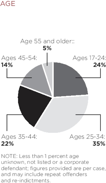 Breakdown of the accused in 2014 Dallas County grand jury cases.