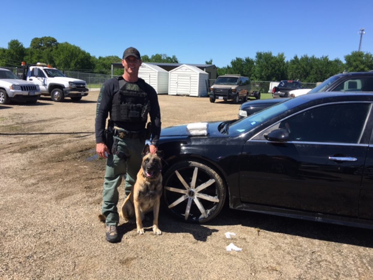 Lobos sniffed out 5.4 pounds of cocaine this week. (Fayette County Sheriff's Office)