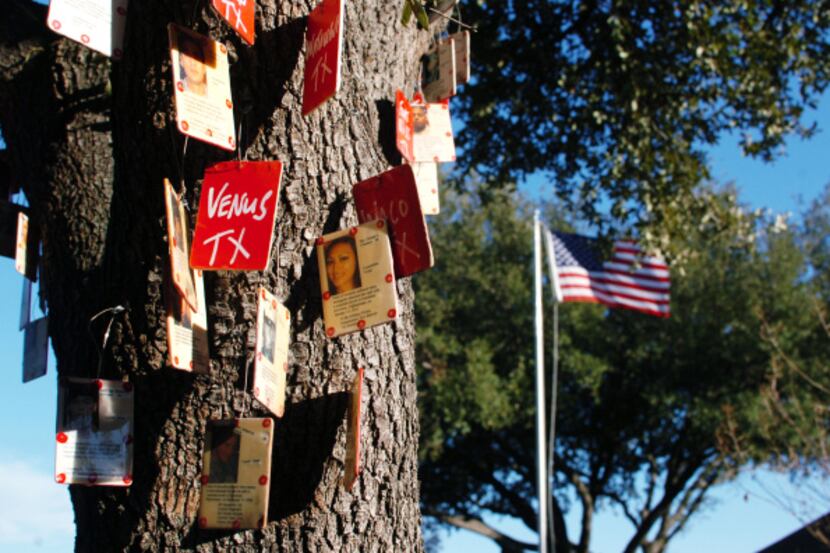 Bryson Gappa created memorial trees in her front yard to honor soldiers from Texas who have...