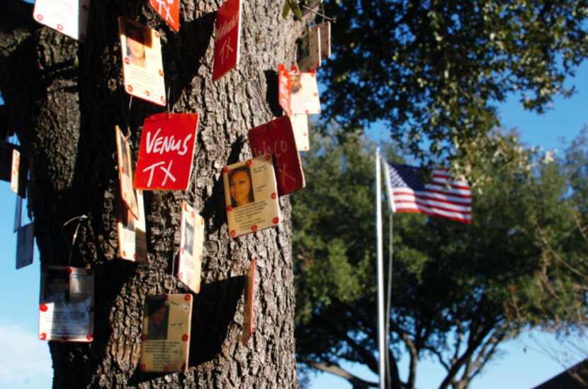 Bryson Gappa created memorial trees in her front yard to honor soldiers from Texas who have...