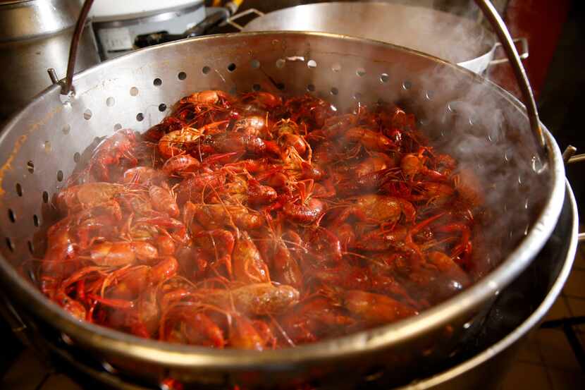Crawfish are boiled at The Boiling Crab in Dallas on Saturday, March 17, 2018. (Rose...