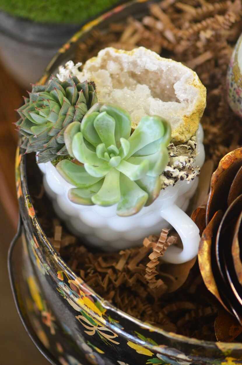 
A hobnail milk-glass creamer filled with sparkly geodes and succulents is nestled inside an...
