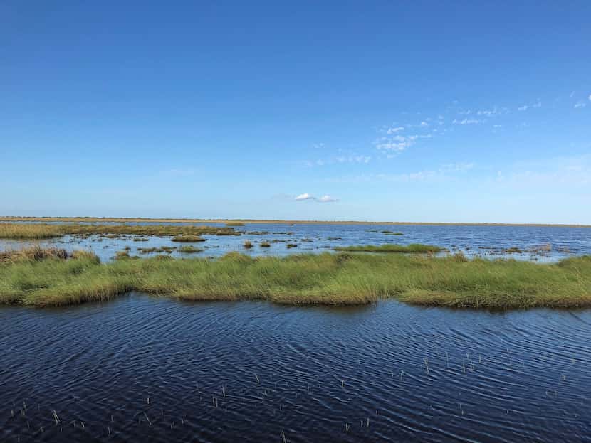 Chocolate Bay Conservation, just west of Galveston, is a 5,403-acre tract that serves as an...