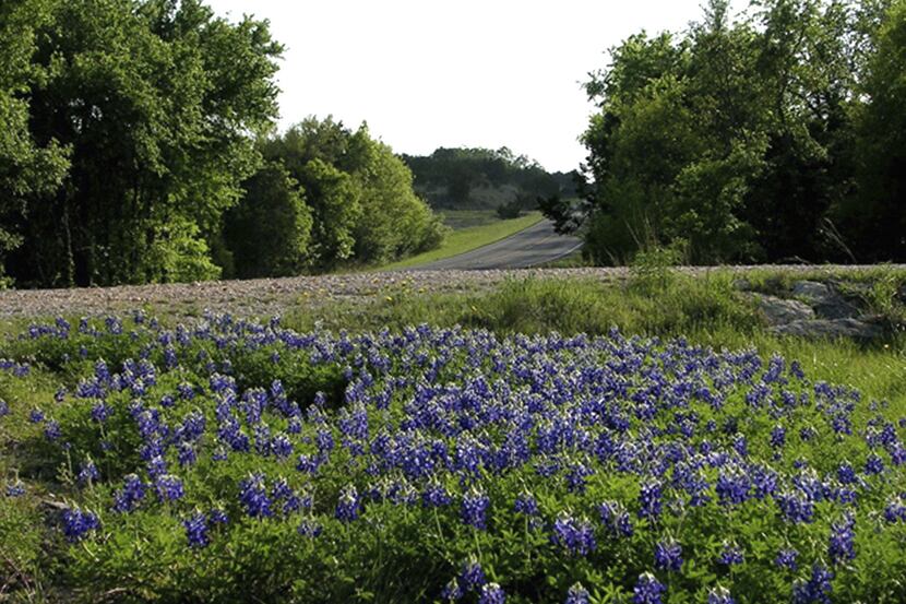 The population of Hays County, home to Dripping Springs, grew more than 40% in the last...