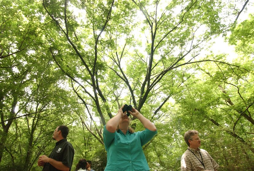 The Old Fish Hatchery Nature Area, a mecca for birders, has been recognized as an...