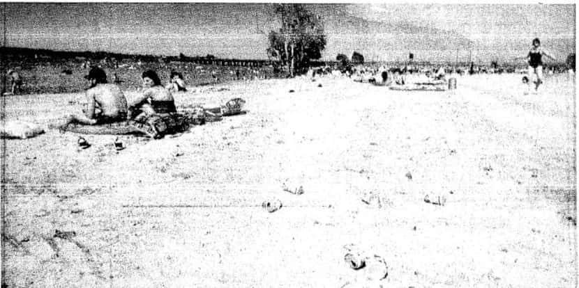 Photograph of the shore along Lewisville Lake.  Photograph taken on Sept. 6, 1982.