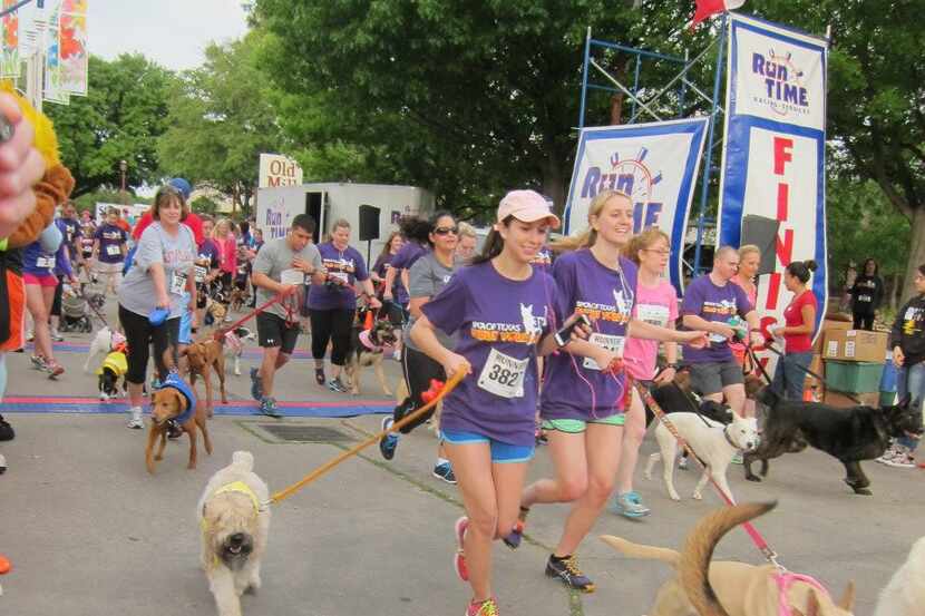 The SPCA of Texas' Strut Your Mutt includes a 5K timed run and a 3K fun run/walk.