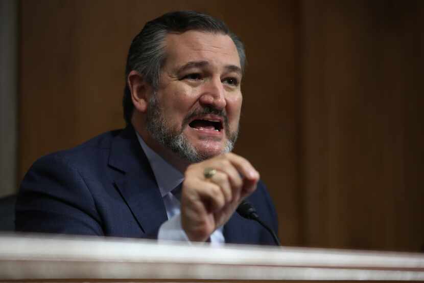 Sen. Ted Cruz questions witnesses during a hearing about "anarchist violence" on Aug. 4,...