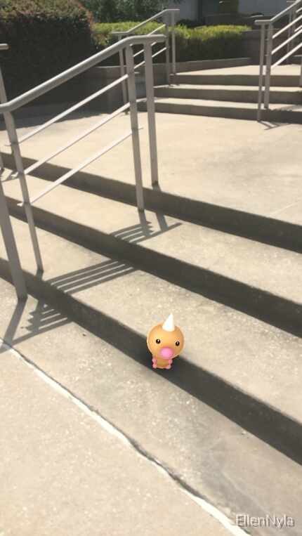 A wild Weedle appears on the steps outside of The Dallas Morning News through the...