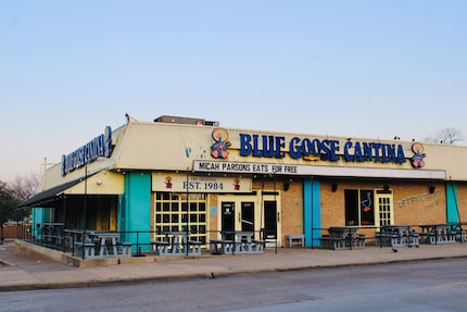 Blue Goose Cantina started on Greenville Avenue in Dallas in 1984. The original restaurant...