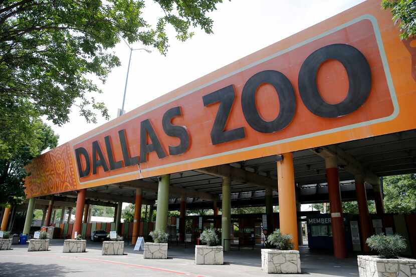 El zoológico de Dallas ha batallado para recuperar la presencia del público en medio del a...