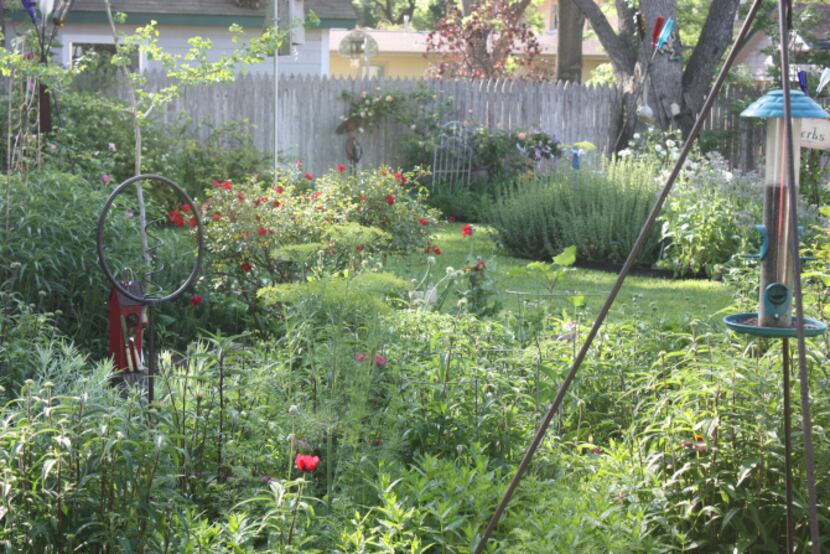 Dill (center) and rosemary (right rear) are mainstays in Arlene Hamilton's garden.