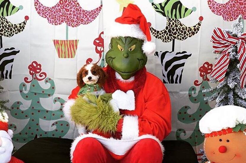 The Grinch will be about town this weekend. (Three Dog Bakery Plano)