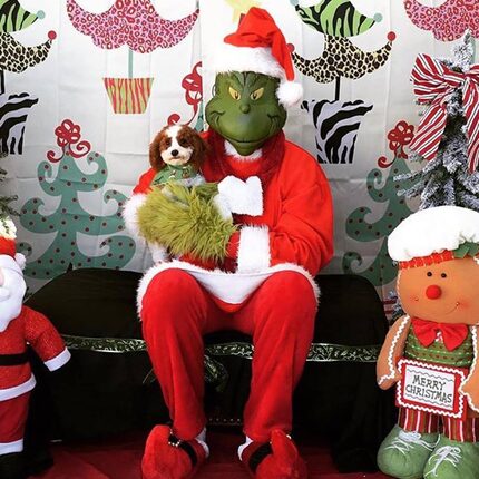 The Grinch will be at Three Dog Bakery in Southlake and Fort Worth this weekend. (Three Dog...