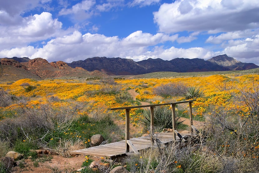 President Biden is naming Castner Range, a former military training and testing site just...