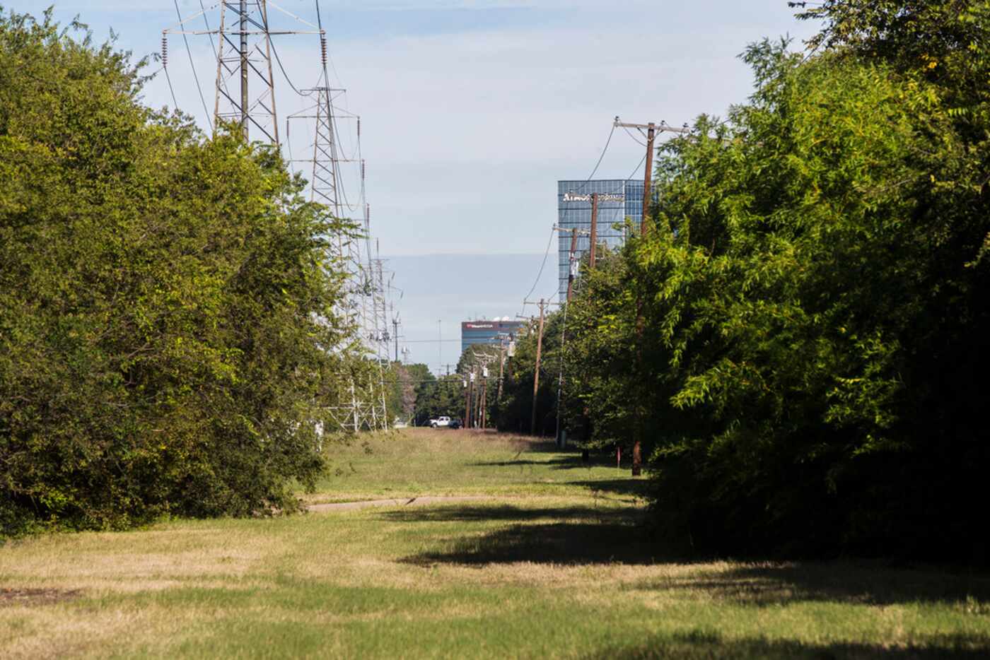 Before the transmission lines are replaced, these trees have to go. According to Oncor.