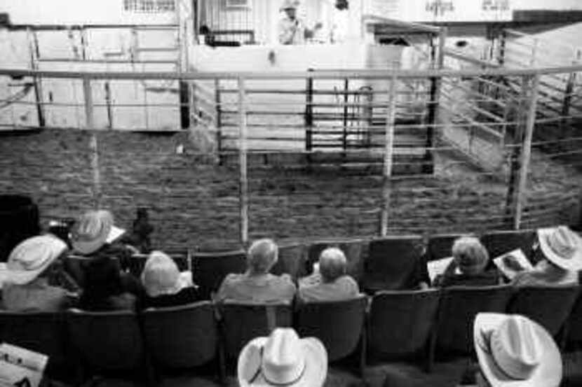 H.D. Brittain, a ranger for the Texas and Southwestern Cattle Raisers Association, told...