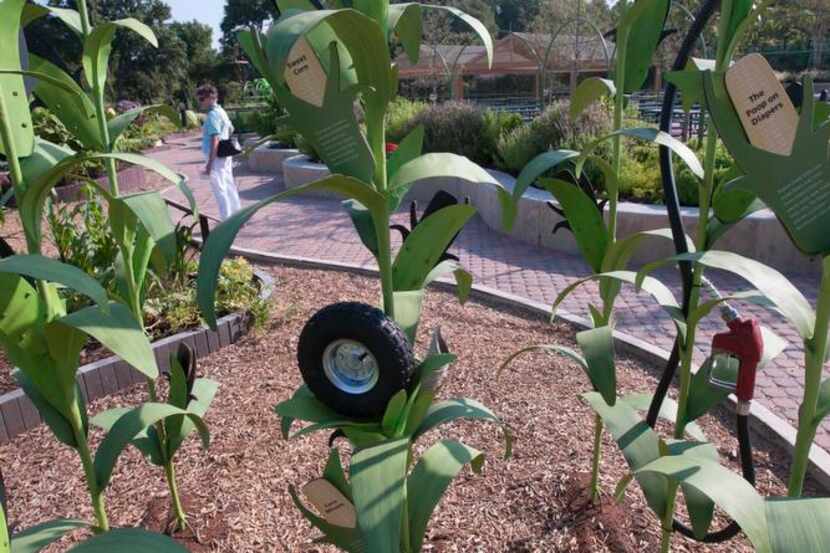 
Fake cornstalks in the Incredible Edible Garden section of the Rory Meyers Children's...