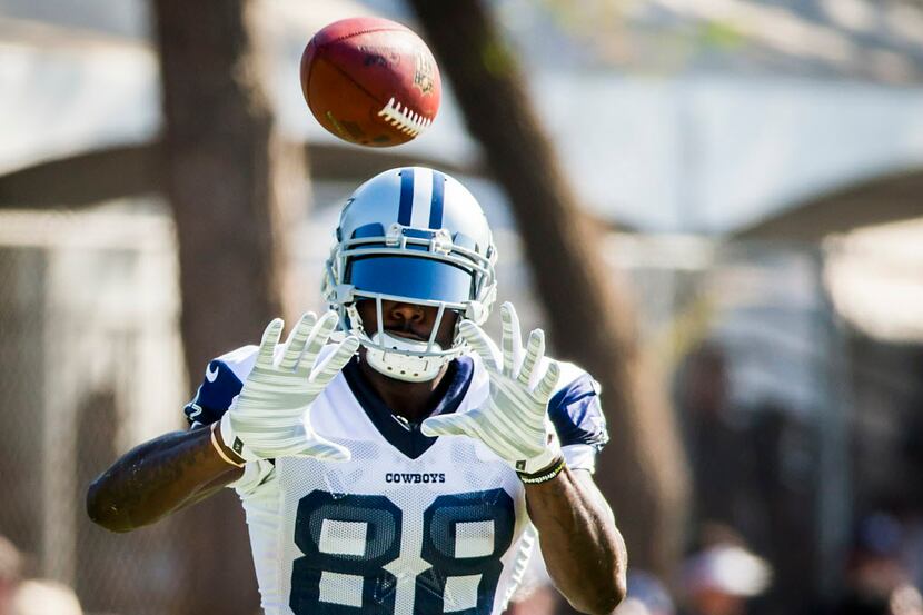 Dallas Cowboys wide receiver Dez Bryant catches a pass during a joint practice with the St....