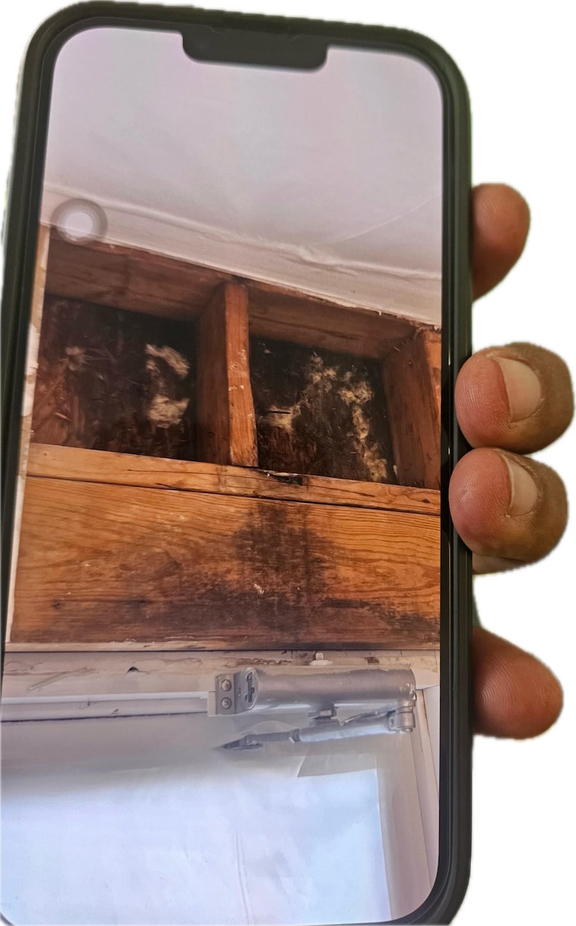 A photo on a cell phone shows mold and water damage at Family Gateway, a homeless shelter in...