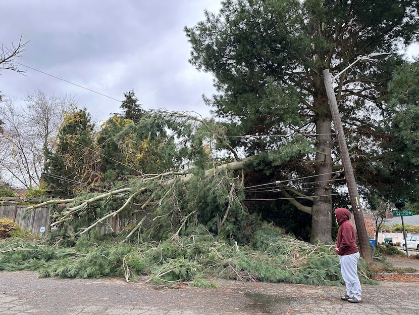 An unidentified pedestrian stops to look at a large branch sheared from a tree during...