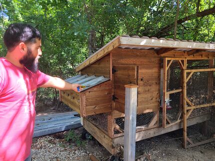 In this Sept. 13, 2022 photo, Joel Garcia shows how high the floodwaters came on his chicken...