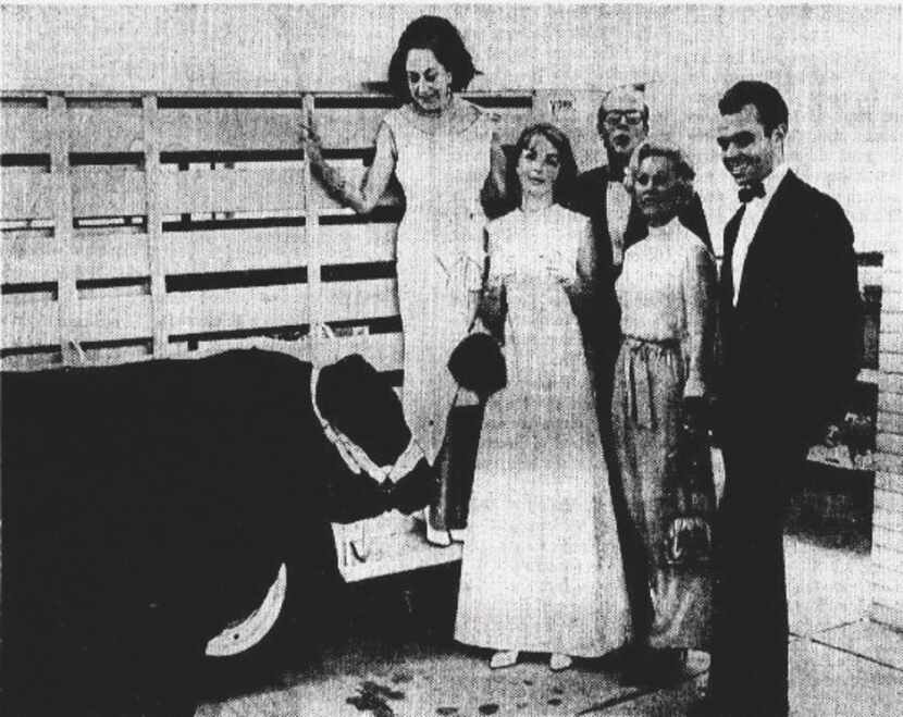 From June 7, 1966: The once-over, Black Angus and bidders. From left, Mrs. Jake Hamon, Miss...