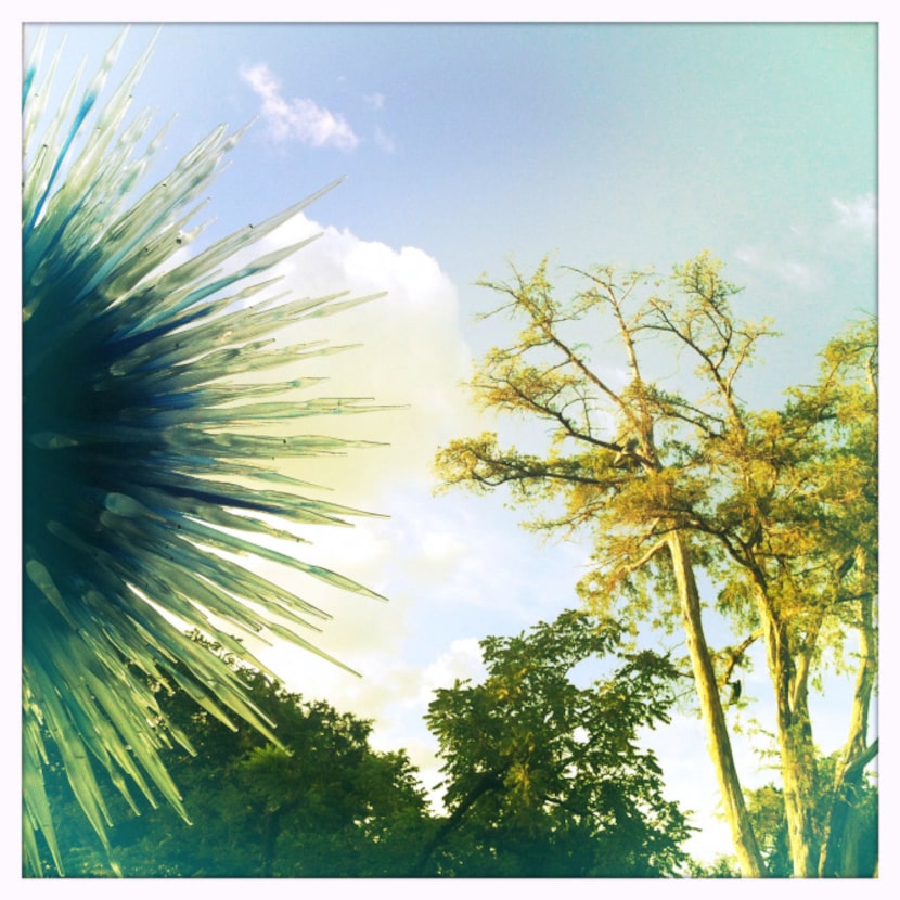 Chihuly's Dallas Star is seen in the Crape Myrtle Allee of the Dallas Arboretum....