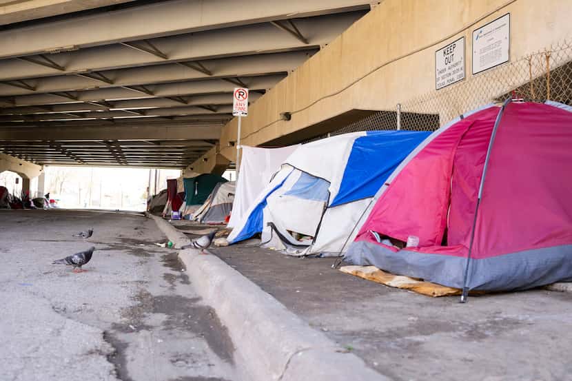 America’s unsheltered homeless population rose by 20.5%, despite a policy aimed at increased...