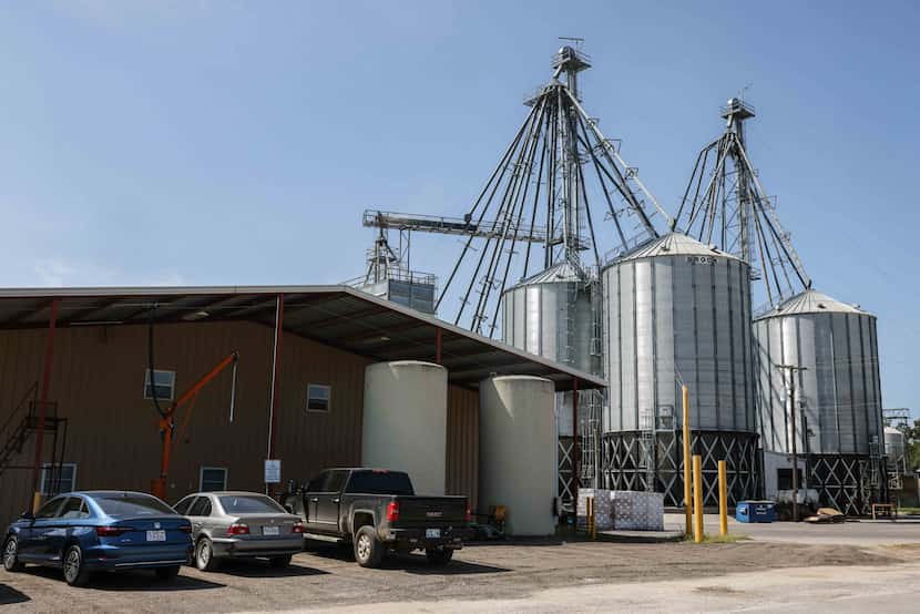 Muenster Milling operates three facilities in Muenster and one in Gainesville.